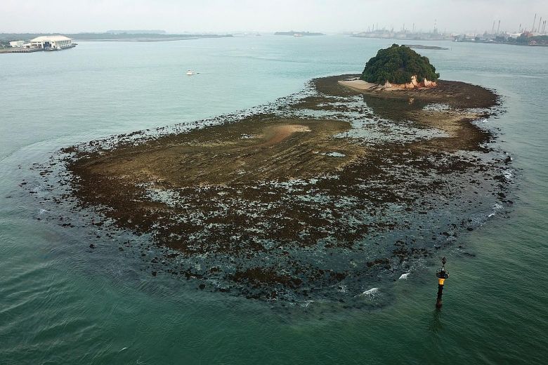 Pulau Jong