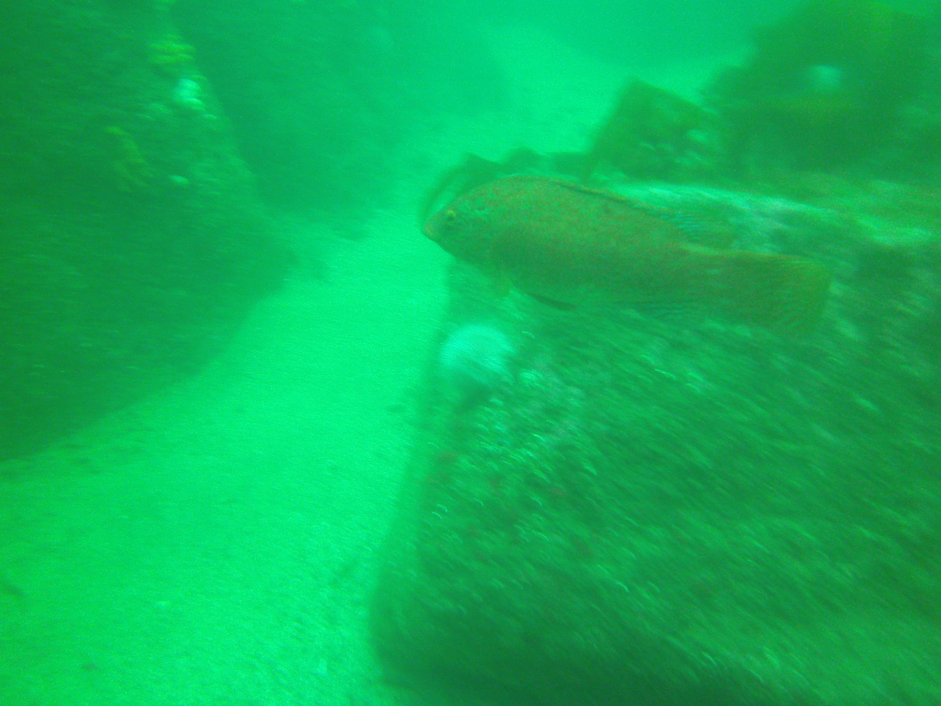 St Abbs photo 3