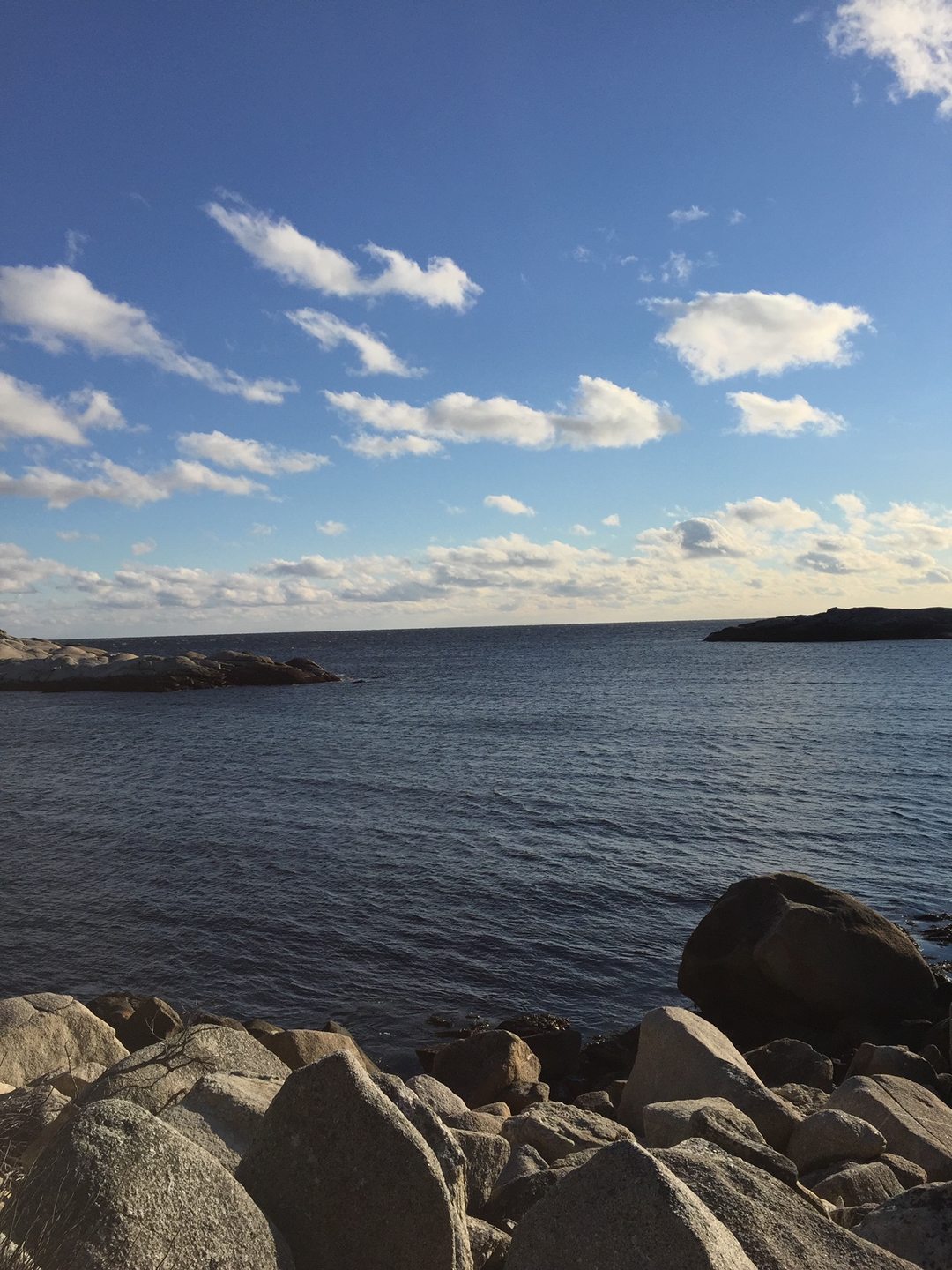 Polly Cove