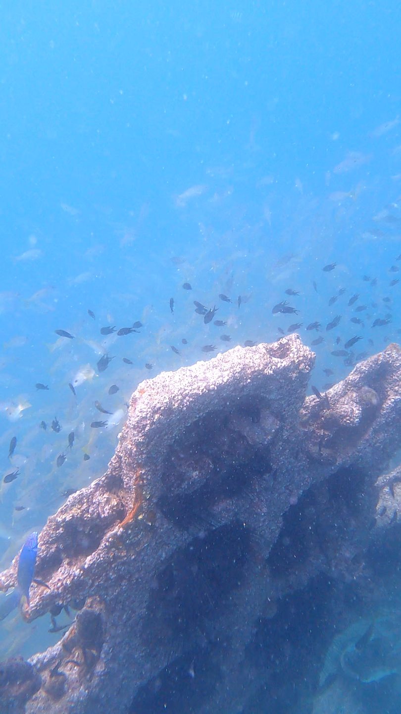 Humsi Wreck photo 3