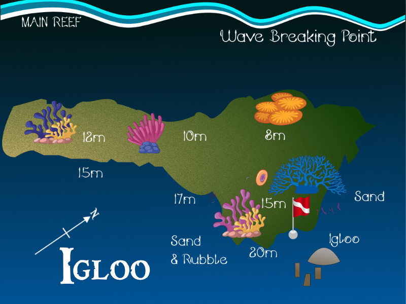 Igloo
