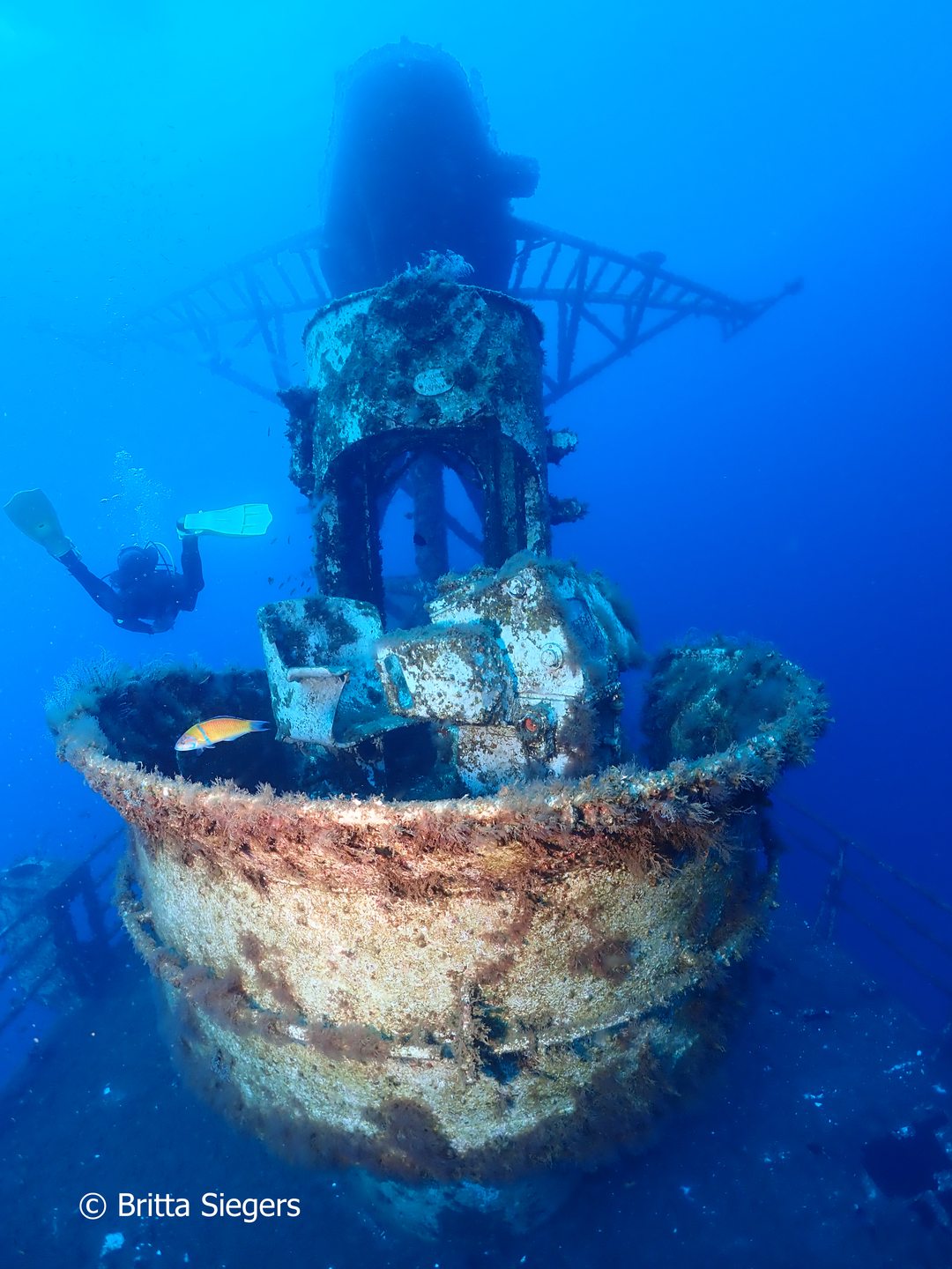 Wreck Afonso Cerqueira photo 6