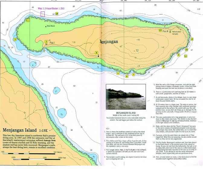 Menjangan Island photo 5