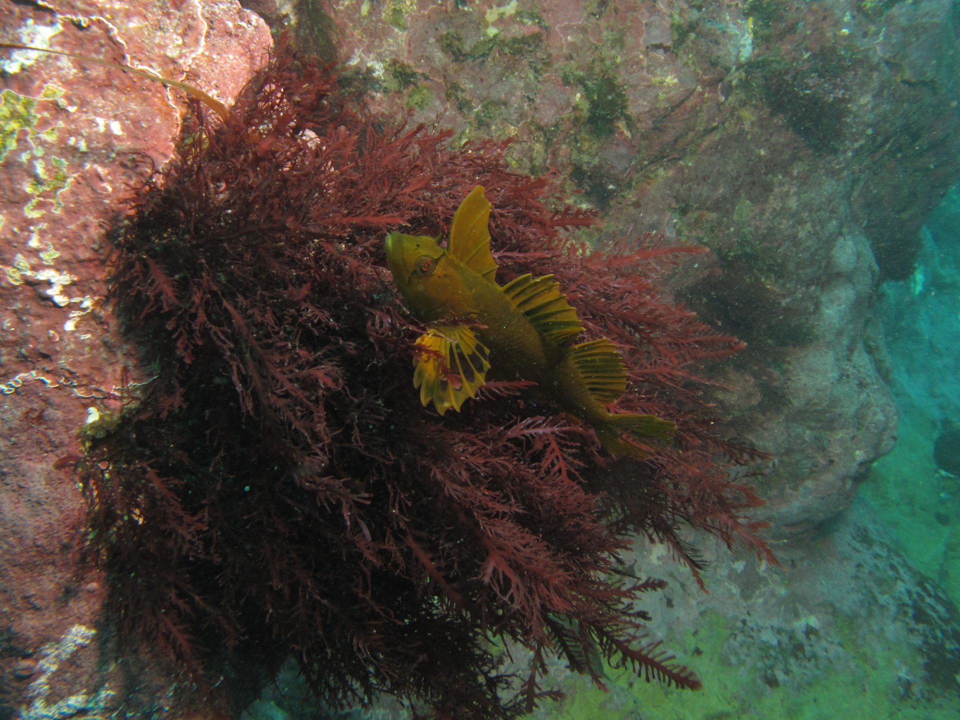 Princess Bay photo 3