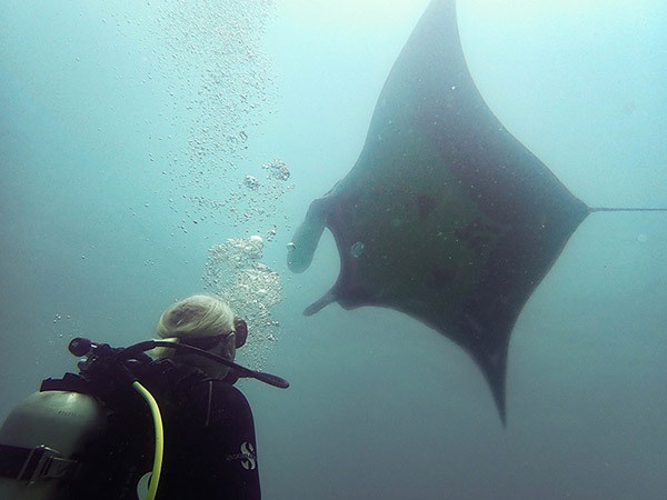Koh Bon photo 2