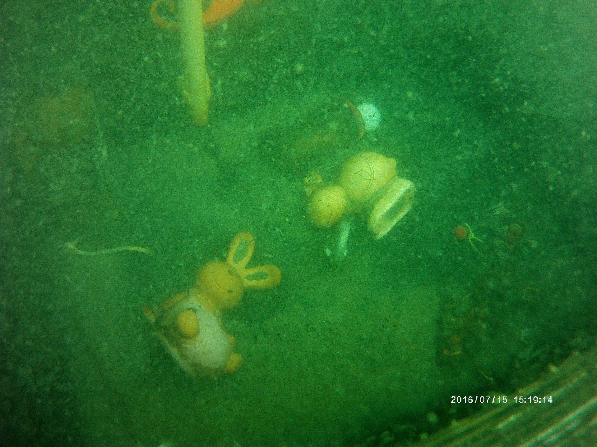 Brechtsee photo 3