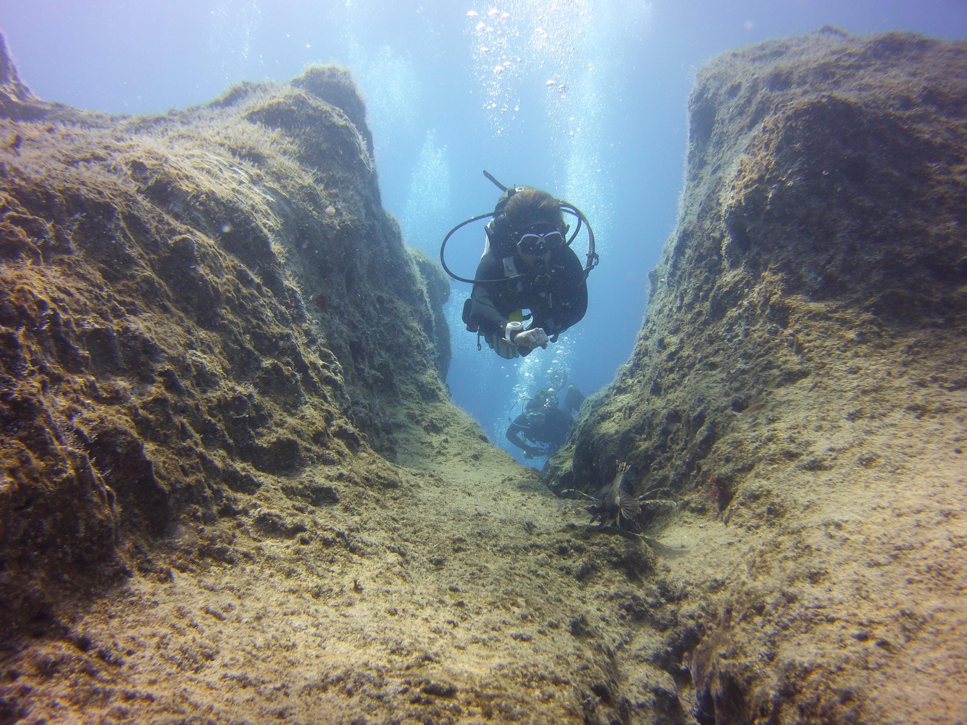 Vomit (Lighthouse) Reef