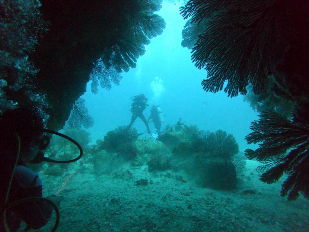 CUEVAS DE LOS CORALES photo 3