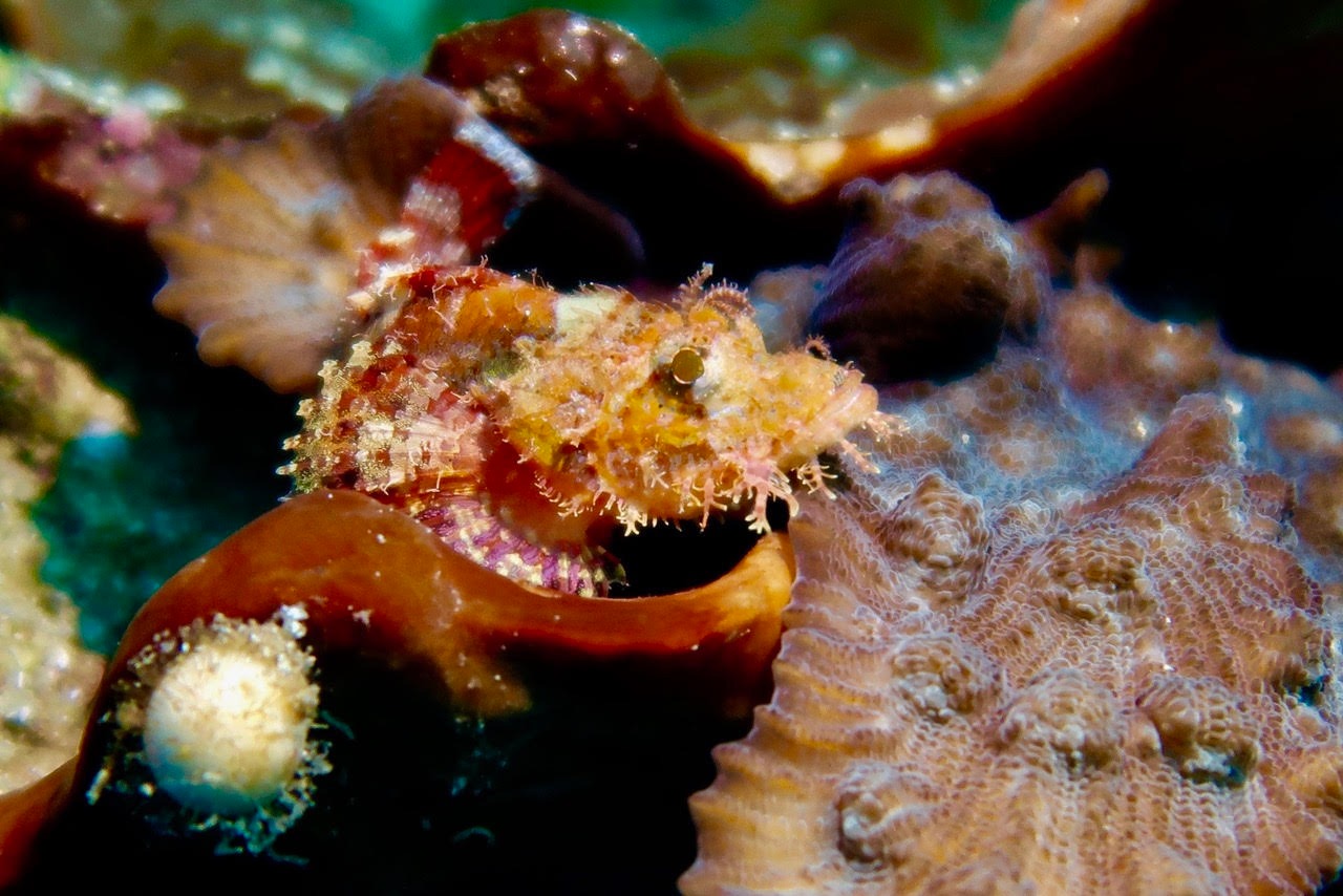 Tanjung Parigi photo 2