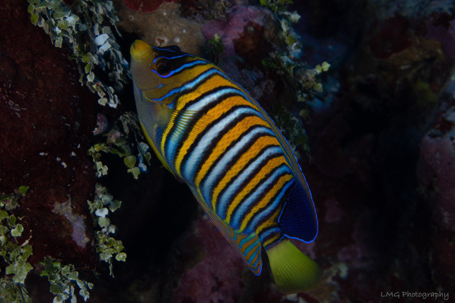 Hap's Reef photo 12