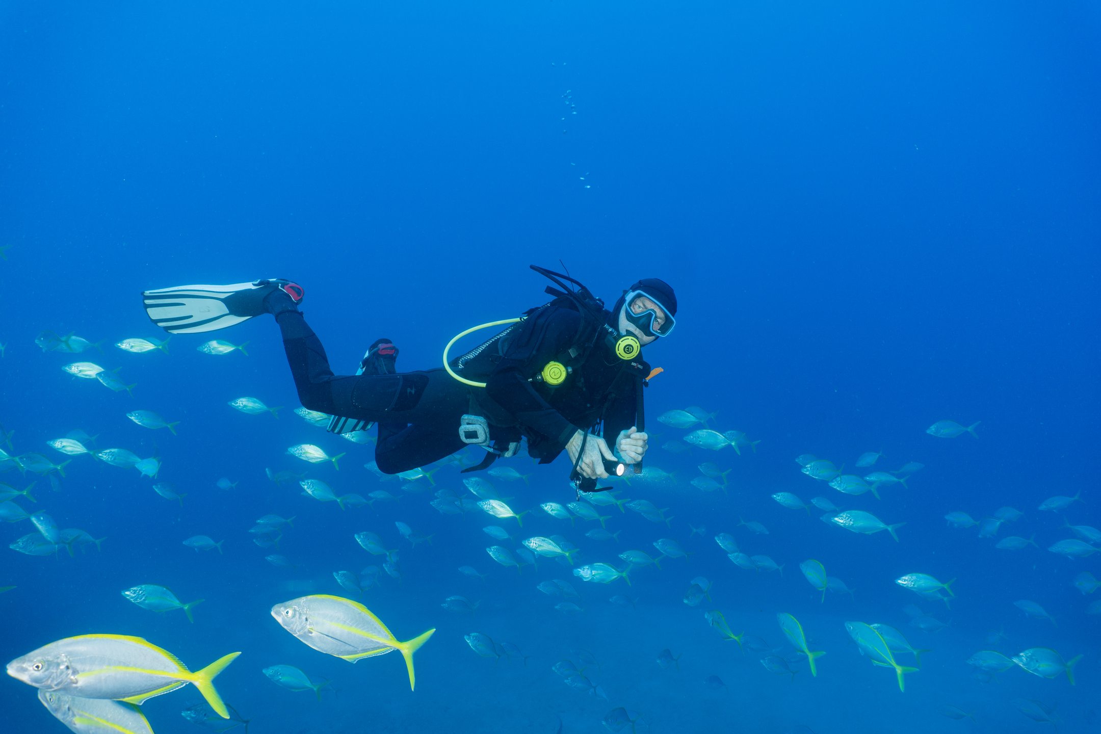 Carlton House reef photo 4