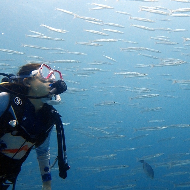 Kata Beach House Reef