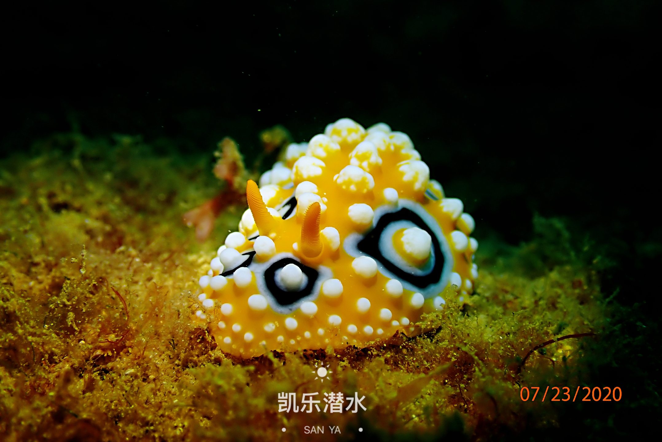 百福湾 photo 3