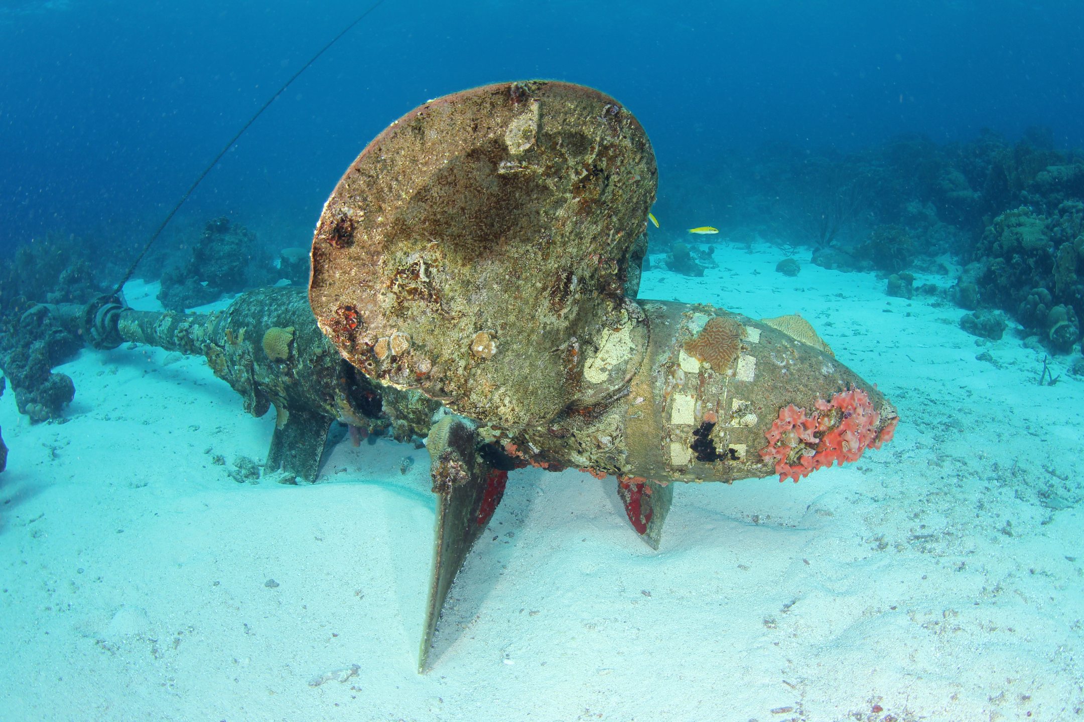 Shipwreck Point photo 4