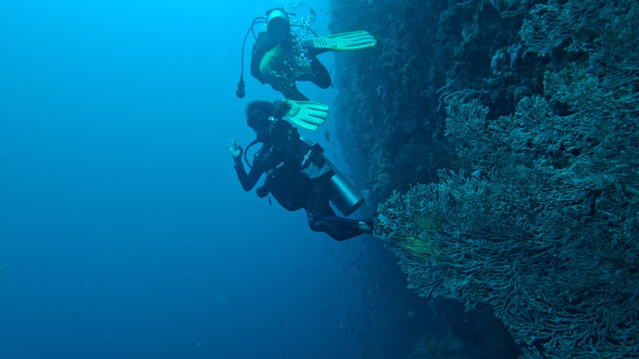 Tulang Diot photo 6