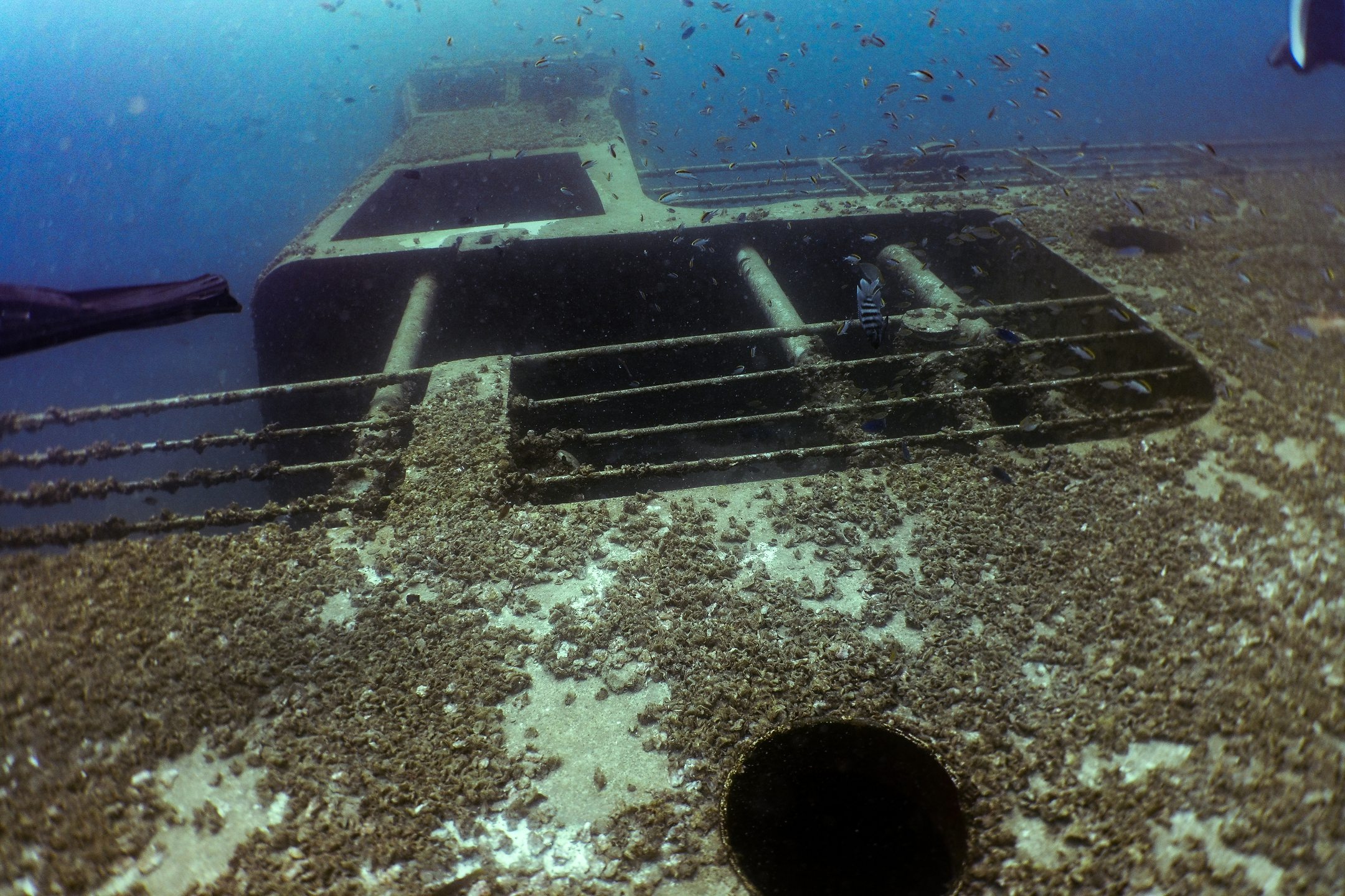Ex-HMAS Tobruk photo 3
