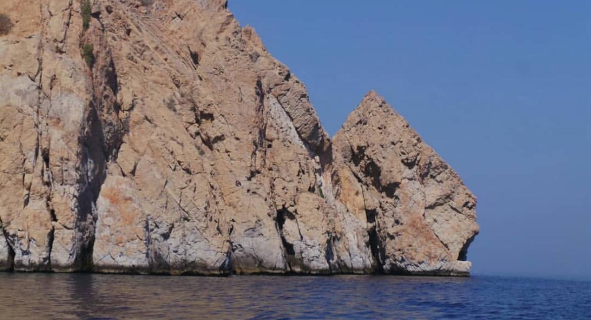 Ras Sanat photo 4