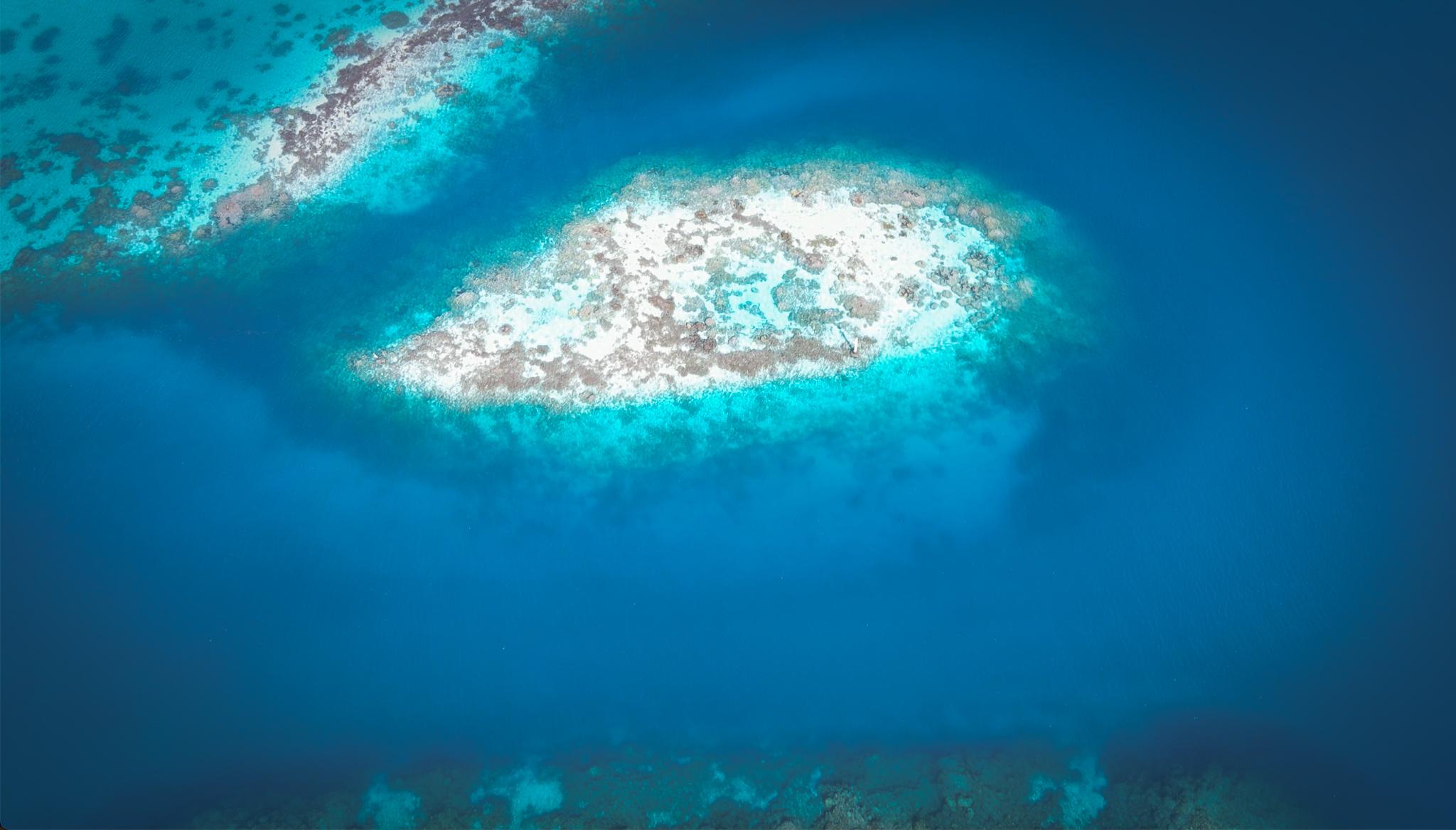ANAU - Mantas Spot - BORA BORA photo 4