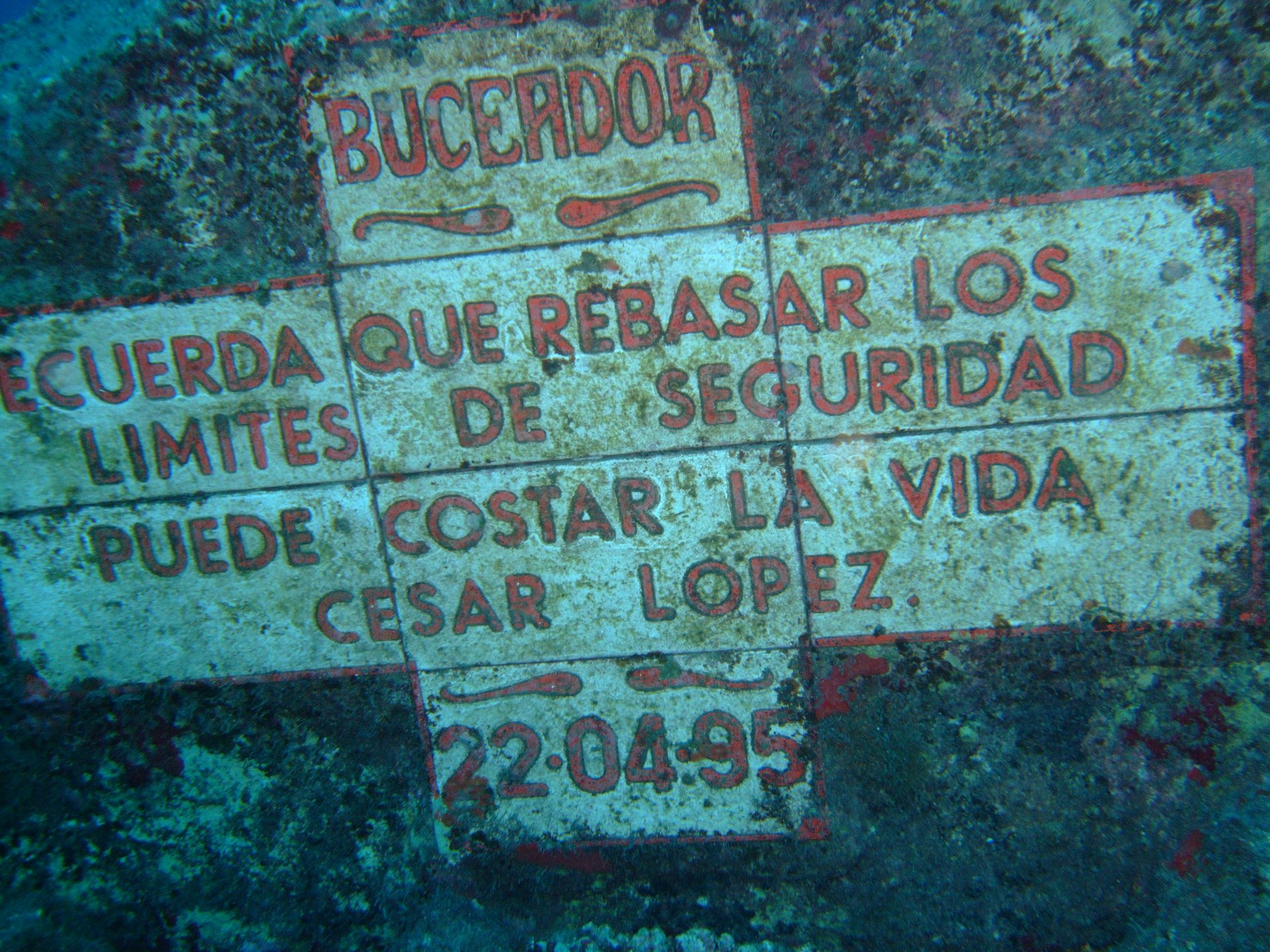 Radazul photo 3