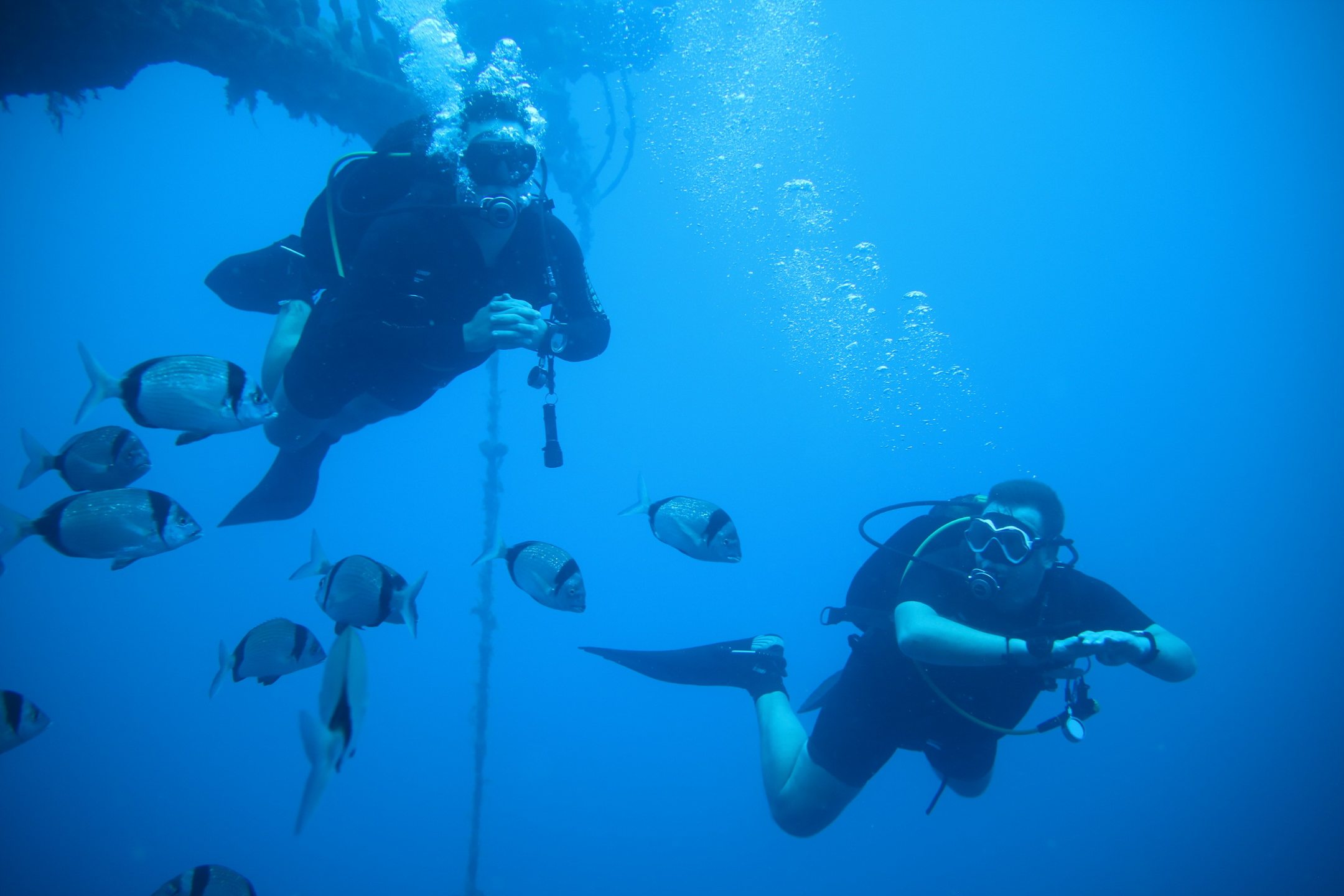 The Zenobia Wreck photo 2