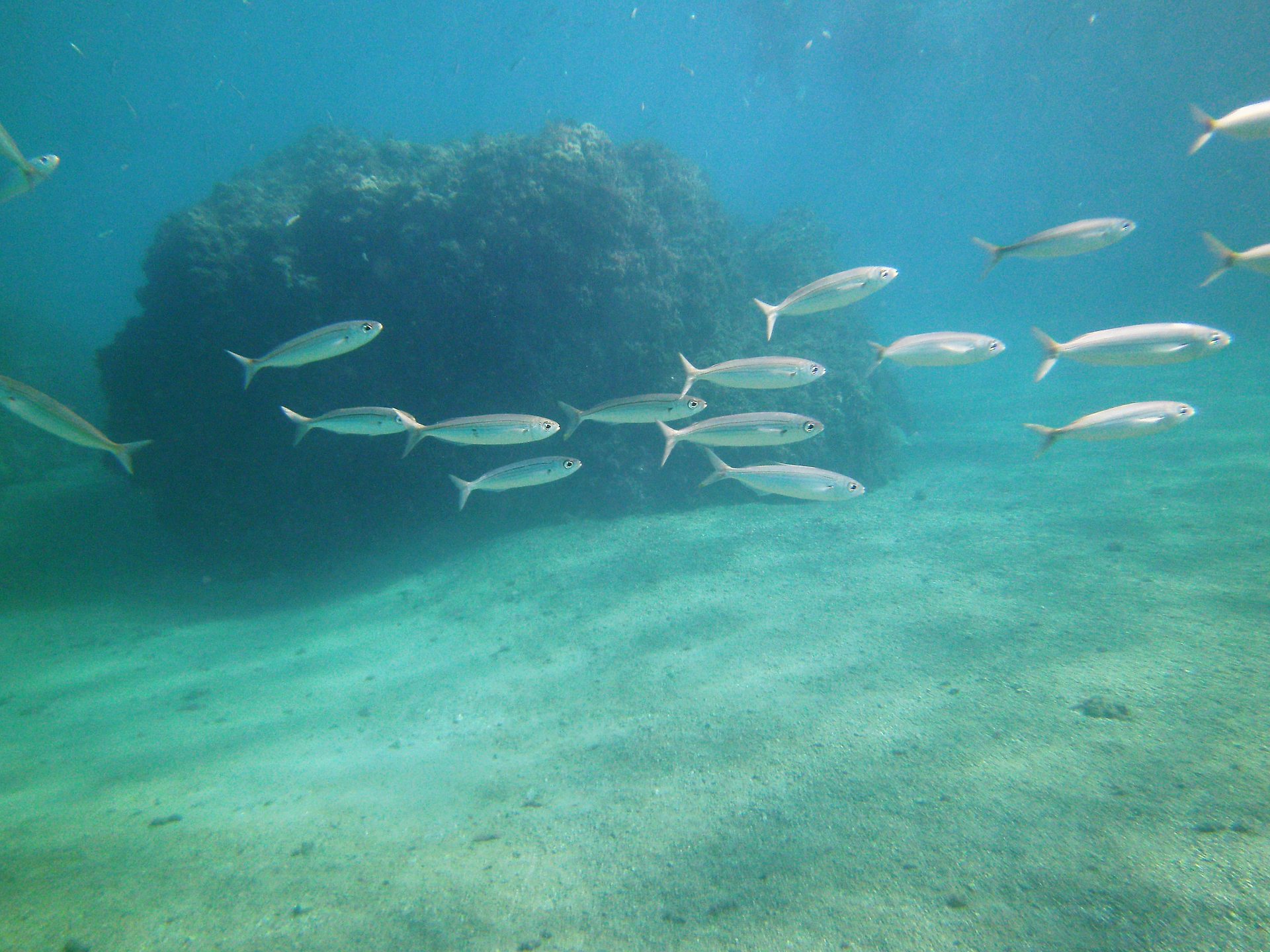 La Herradura Beach photo 2