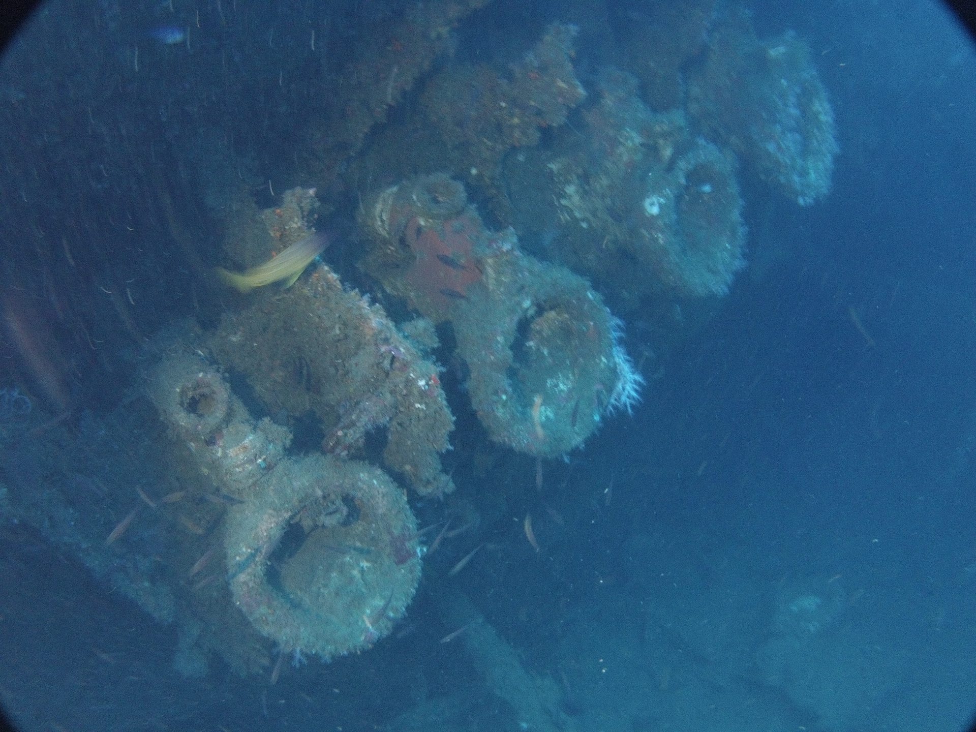 HMS HERMES photo 3