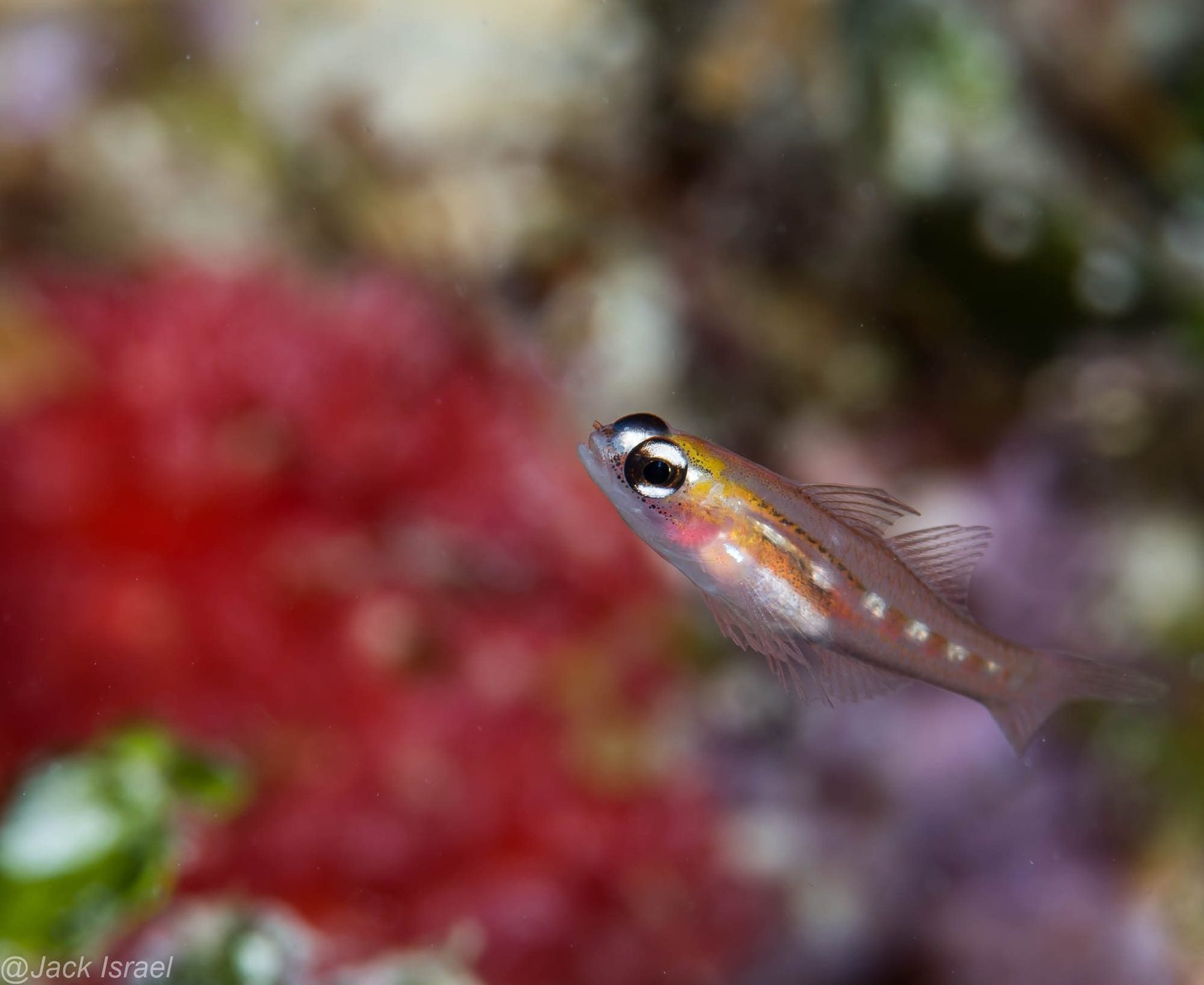 Aquarium photo 3