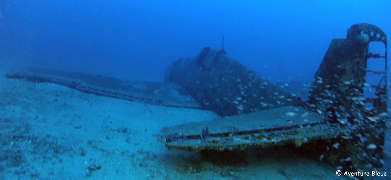 Hellcat (Grimman F6F) photo 3