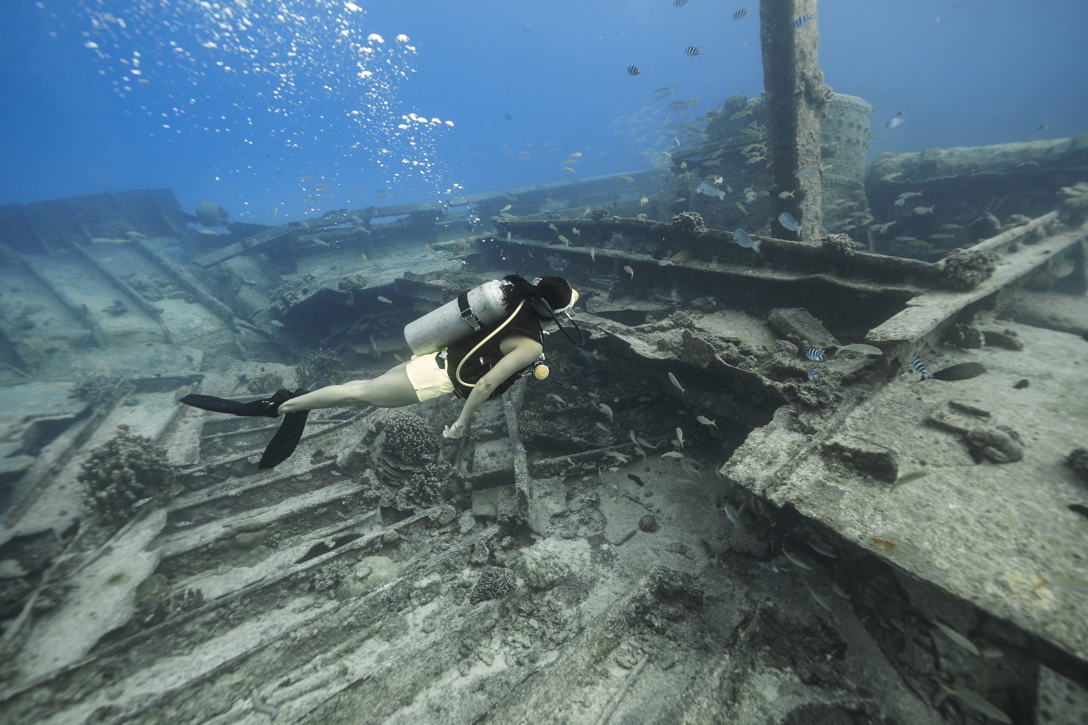 Ship Wreck (Showan Maru)