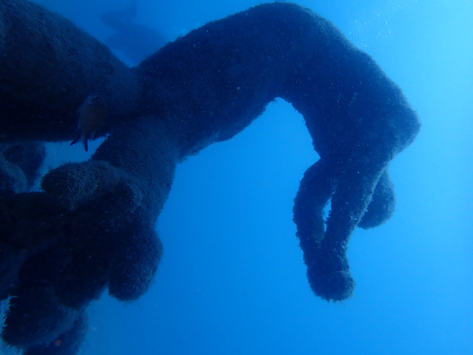 Museo Atlantico photo 2