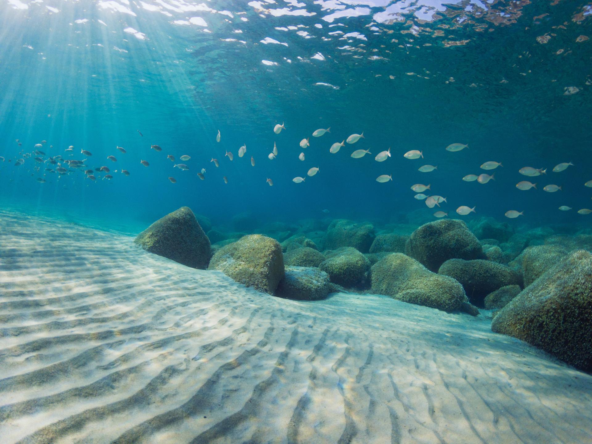 La Ola photo 2