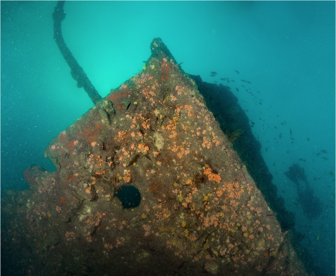 Inchkeith Wreck