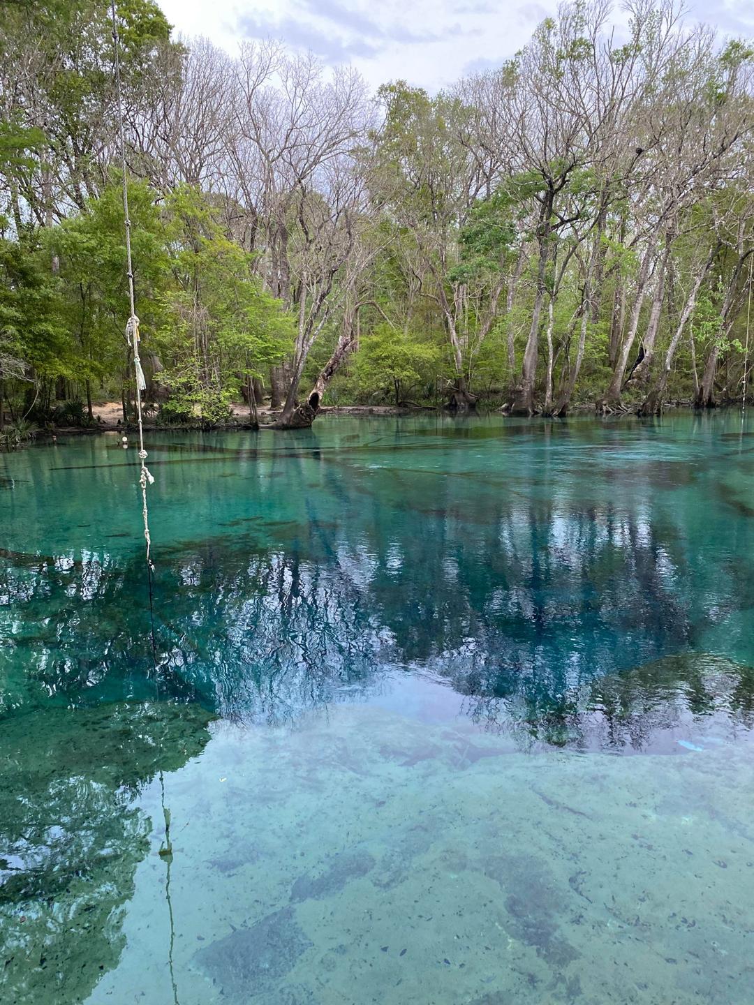 Cypress Spring