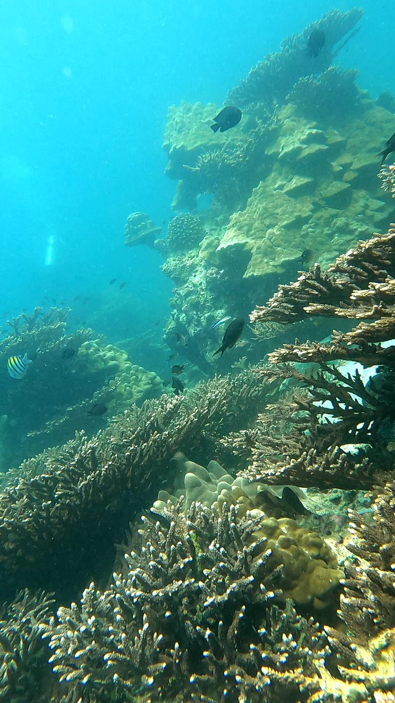 Pipi Beach photo 7