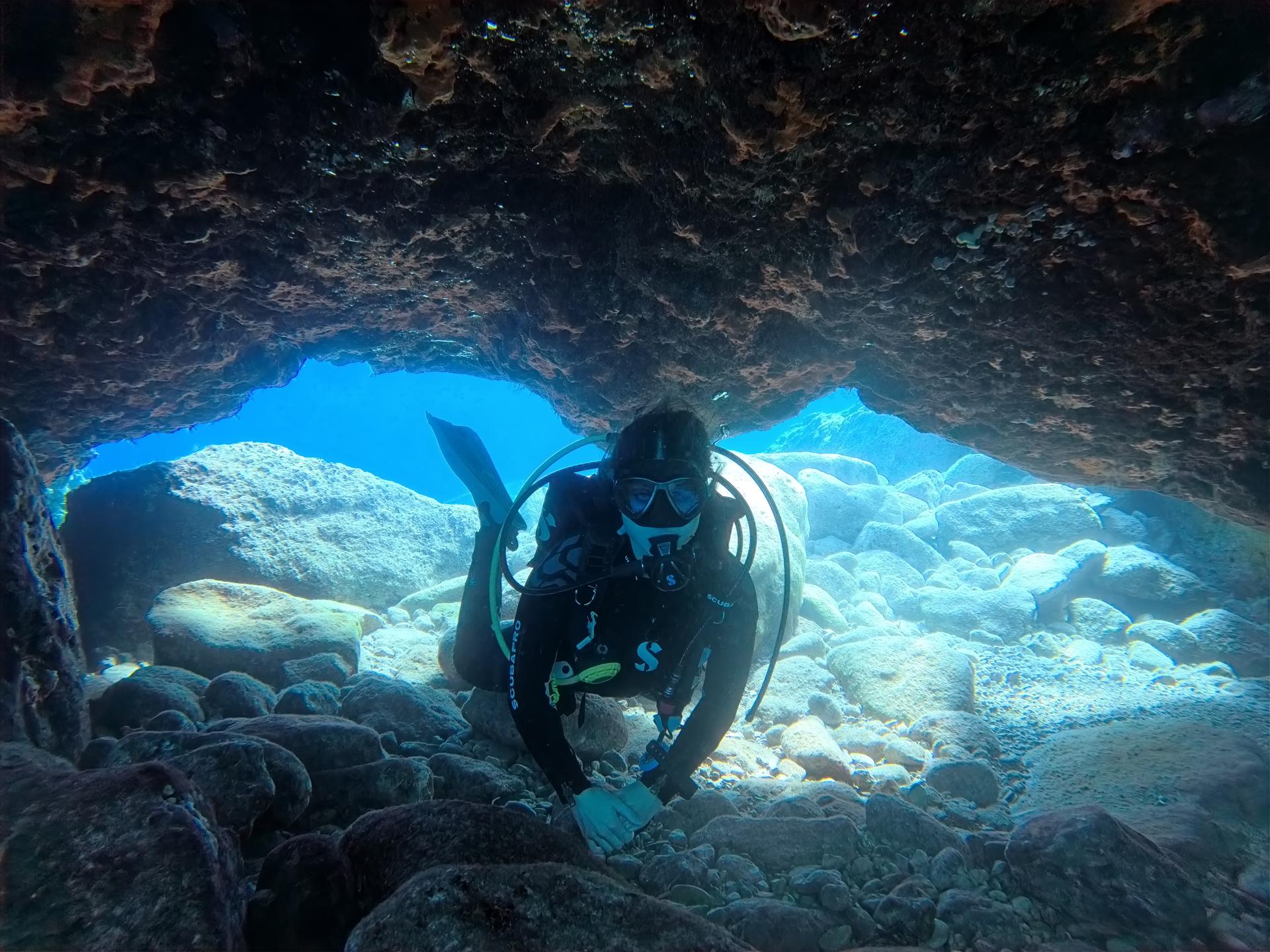 Elephant Reef