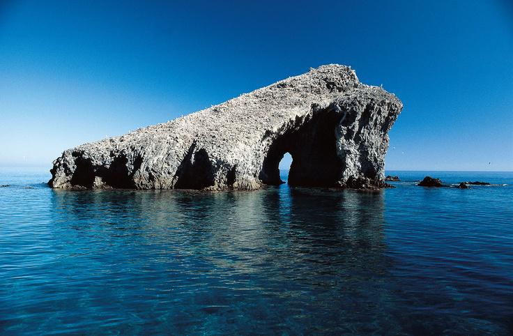 Farallon Norte photo 7