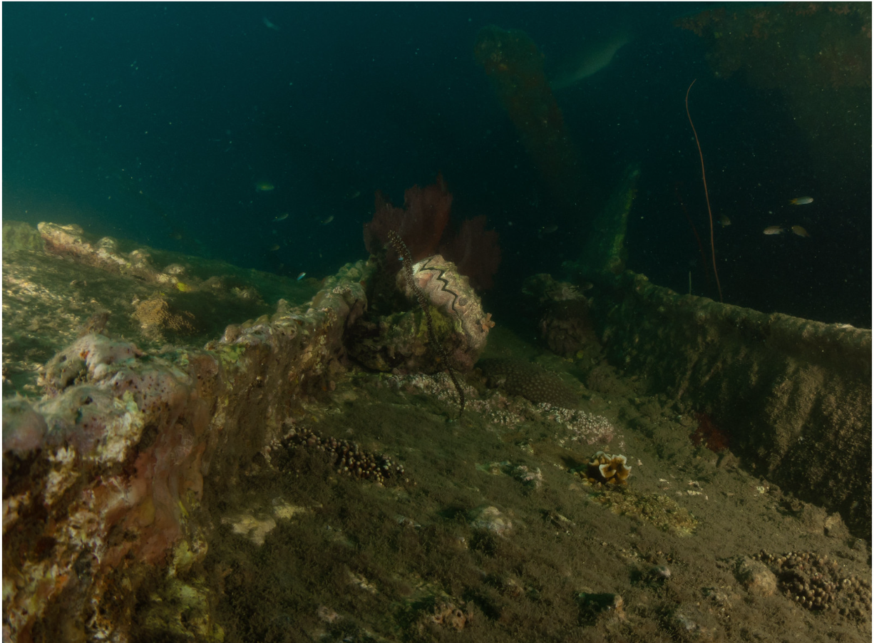 Inchkeith Wreck photo 2