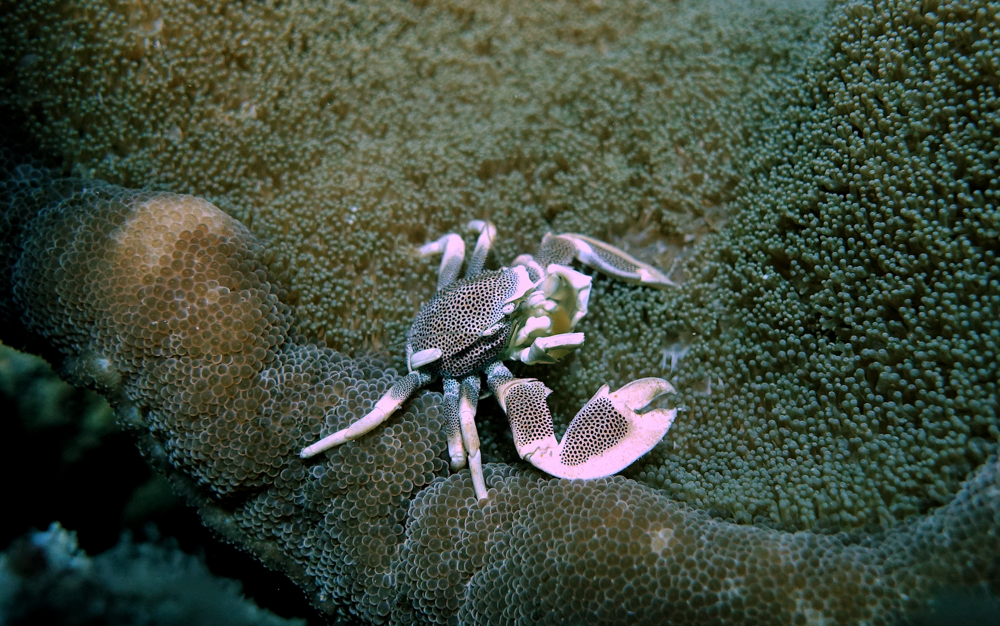 Aquarium photo 5