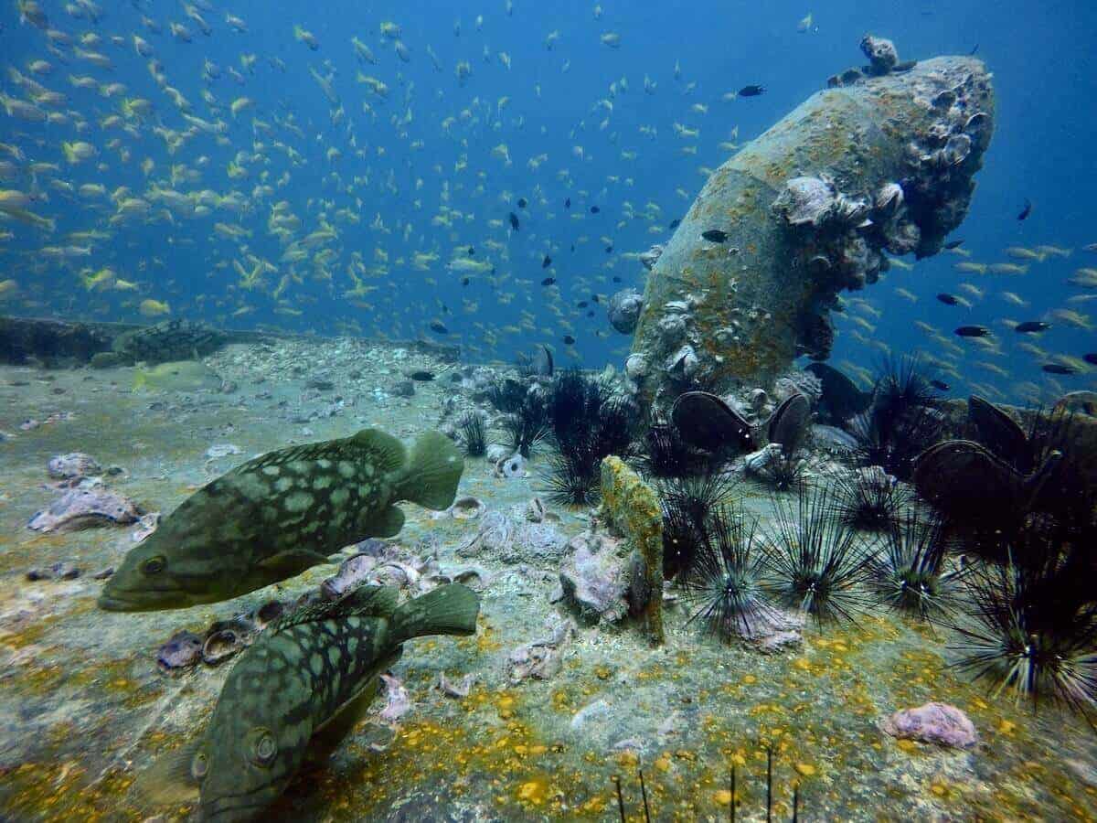 HTMS Kled Keaw Ship Wreck