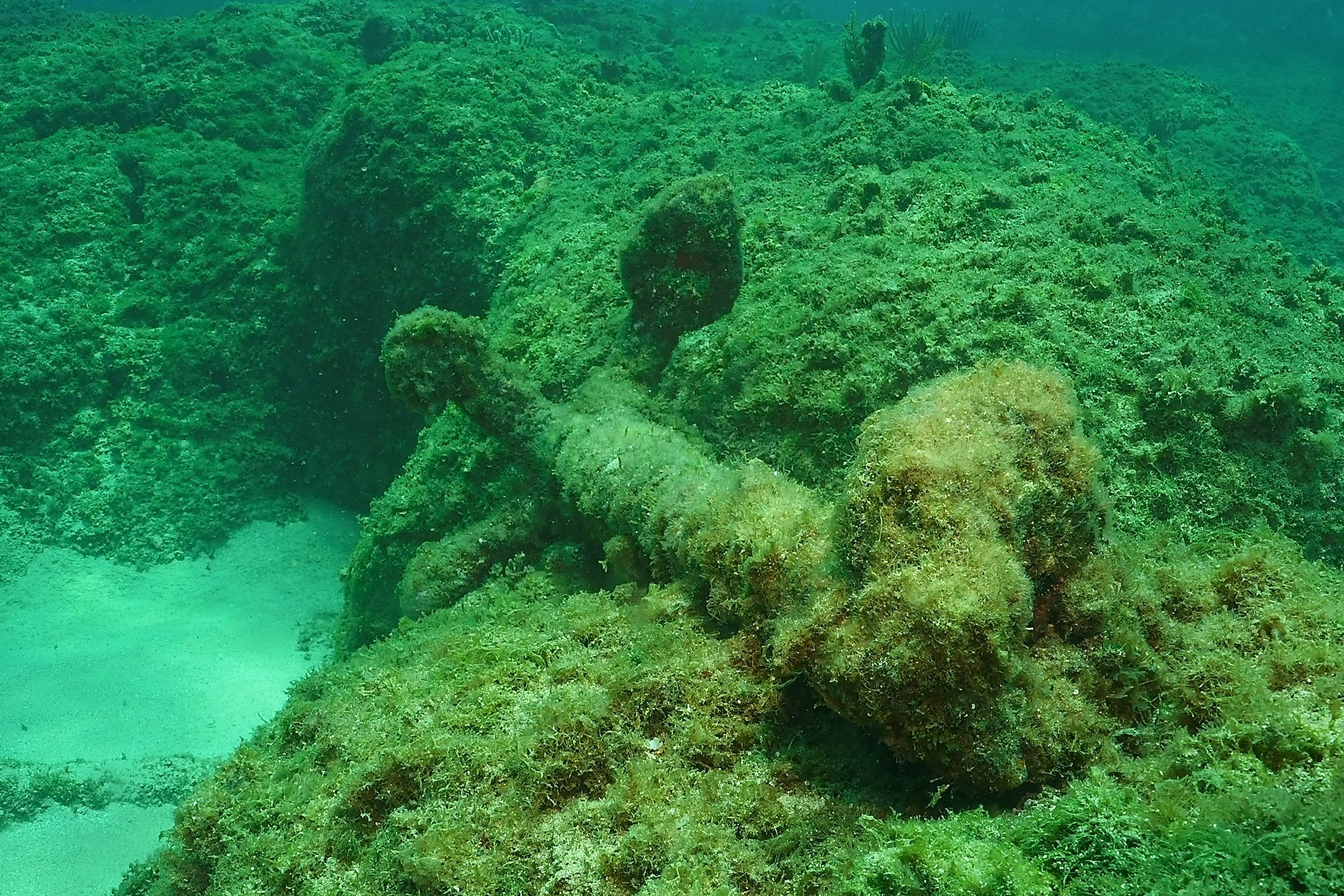 Playa Los Tubos, Manatí, PR photo 6