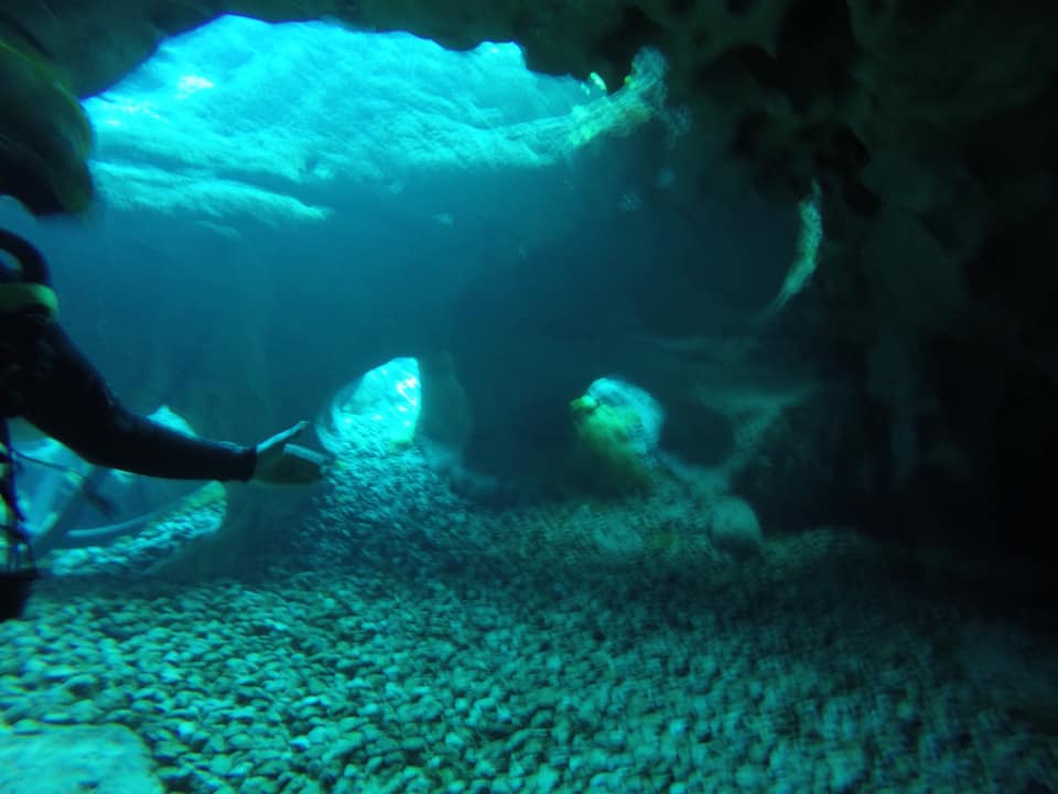 Vortex Spring photo 5