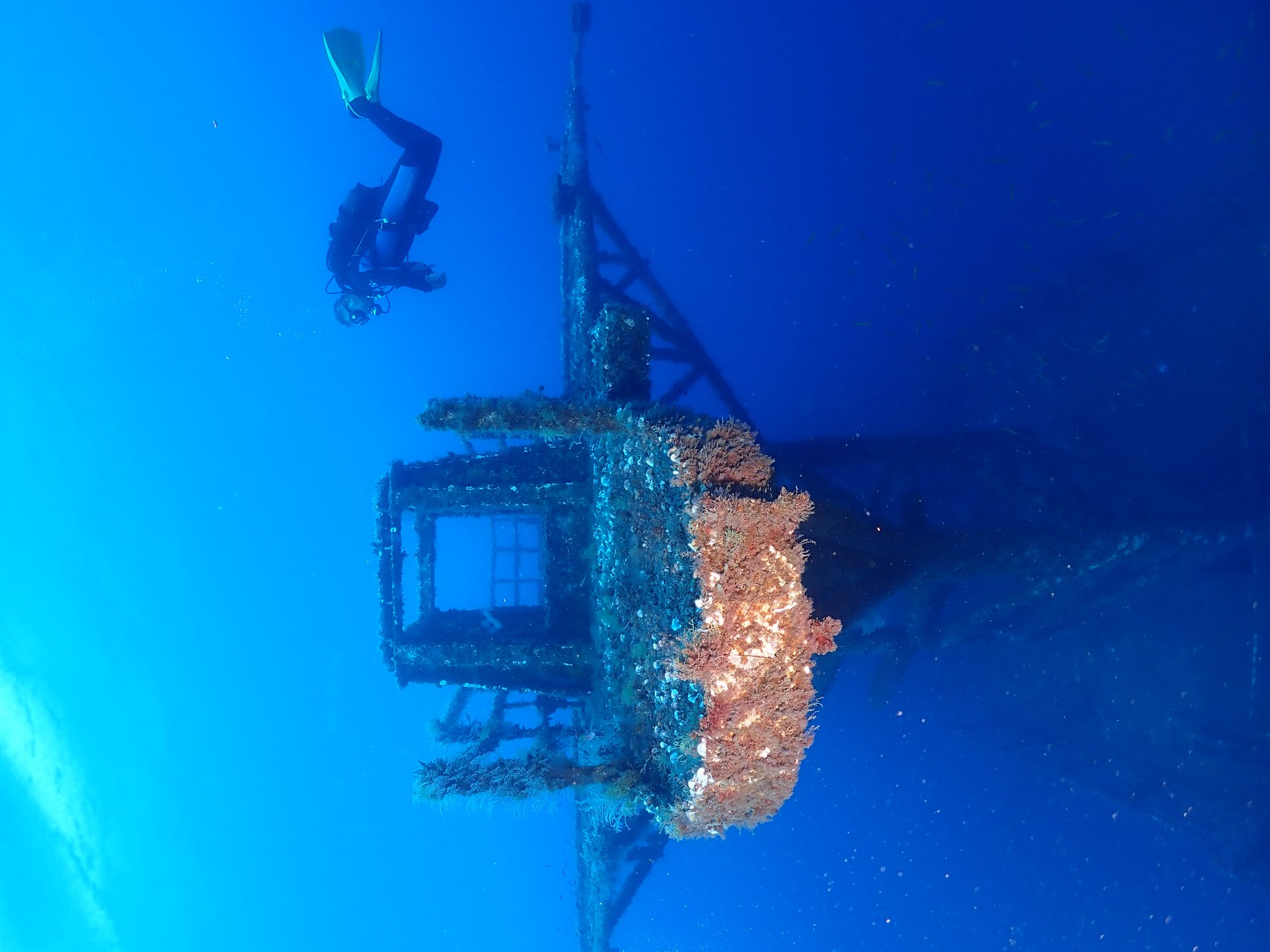 Wreck Afonso Cerqueira photo 10