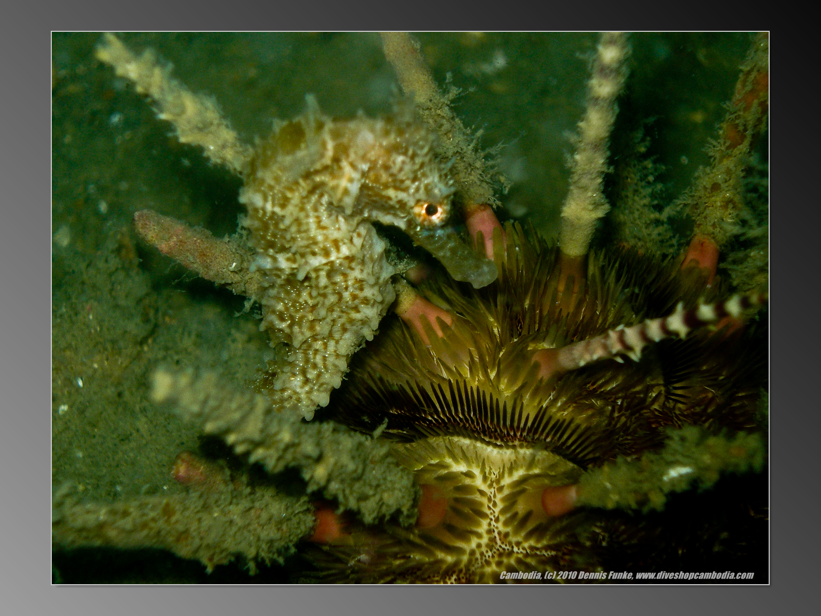 Coral Bay photo 3
