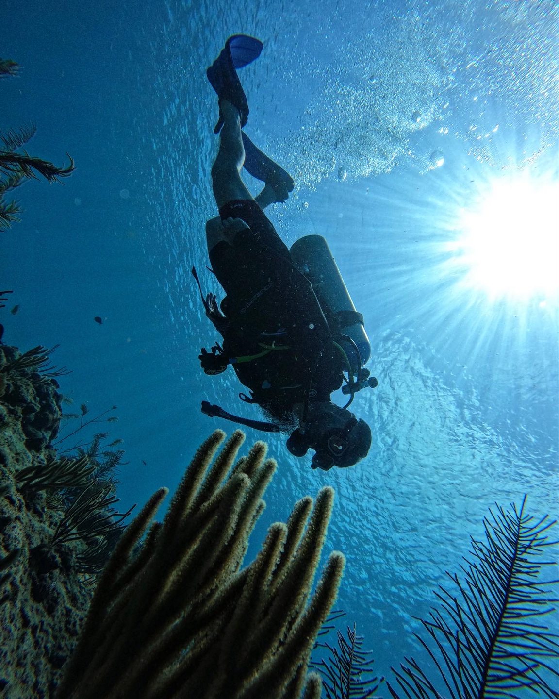 Sea Pride photo 5