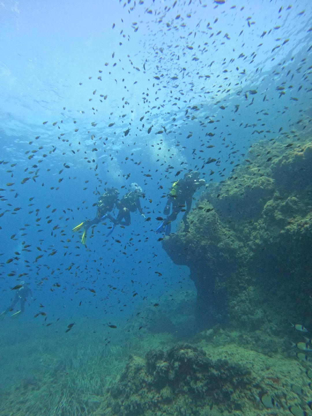 Farallon Norte photo 5