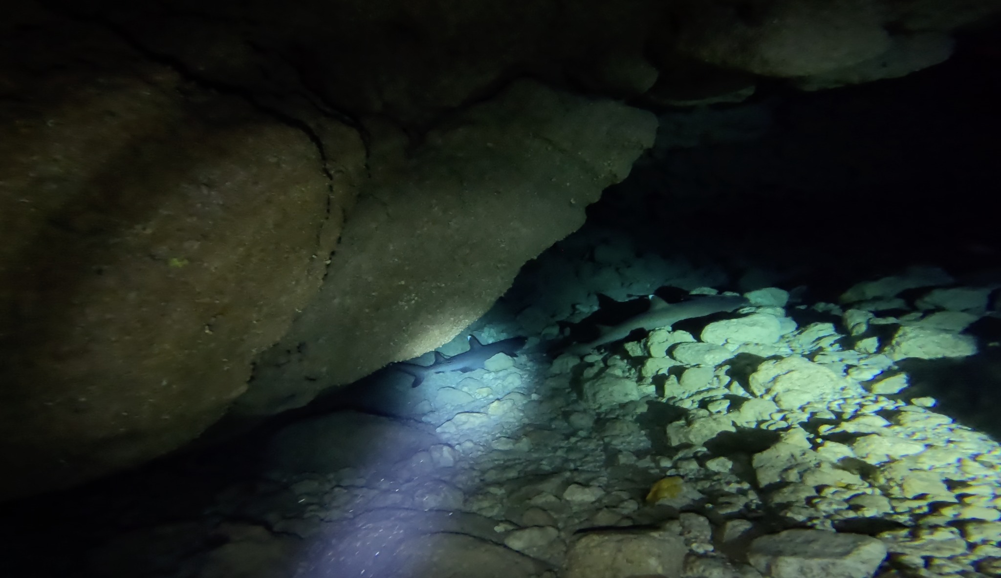 Bubble Cave photo 5