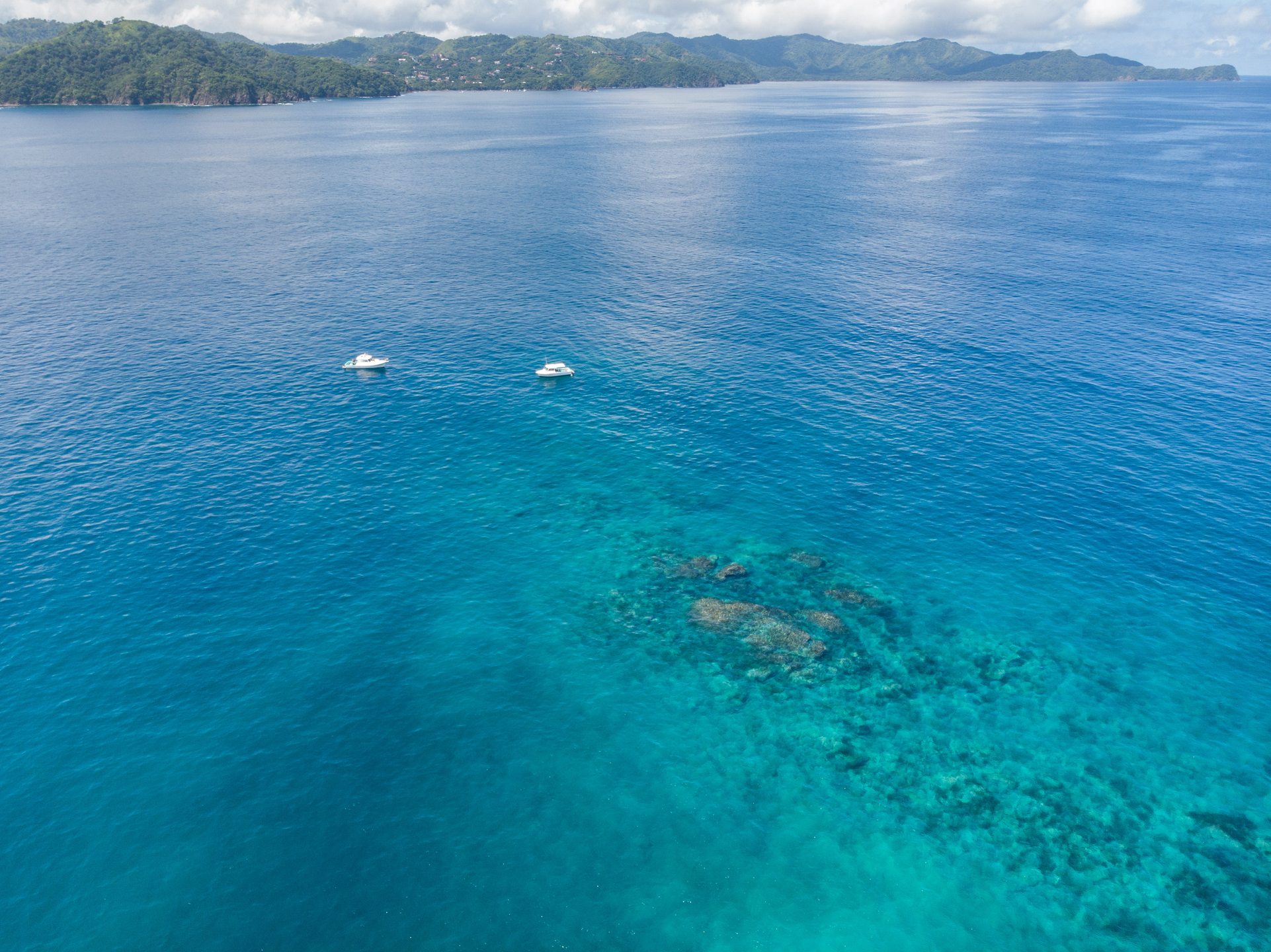 Tortuga photo 8