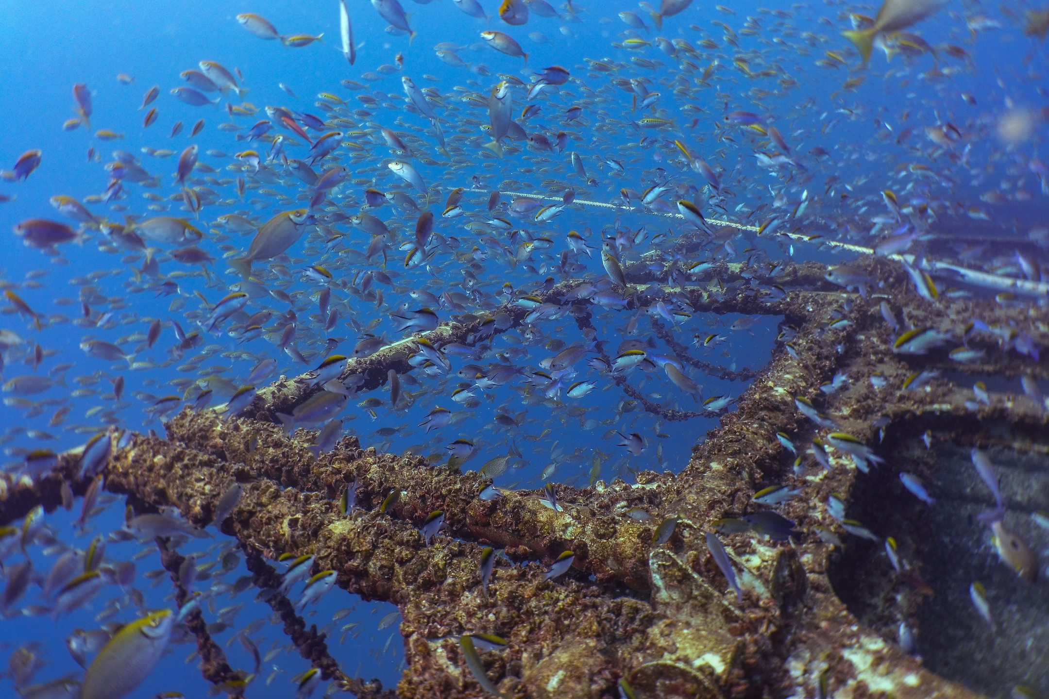 Ex-HMAS Tobruk photo 4