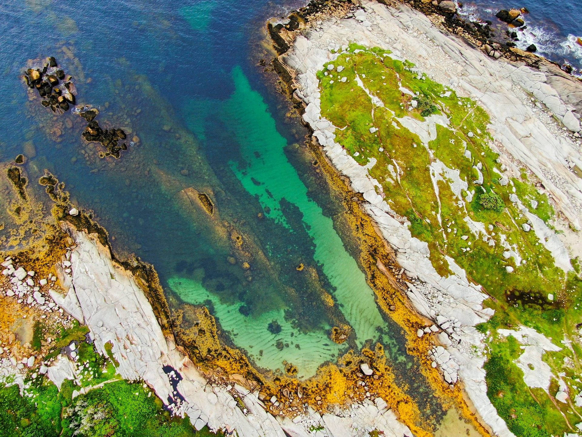 Cranberry Cove photo 3