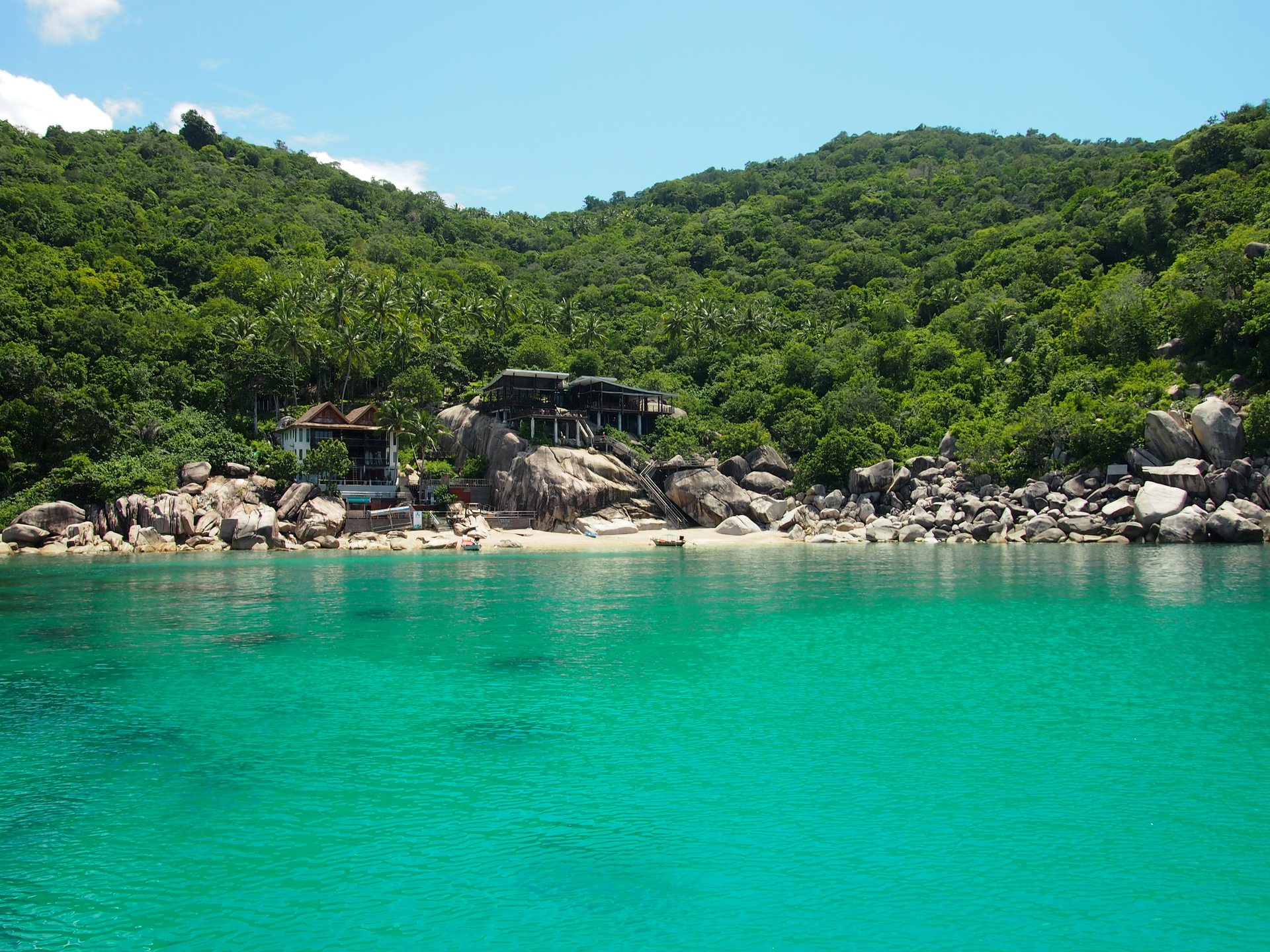 Mango Bay photo 5